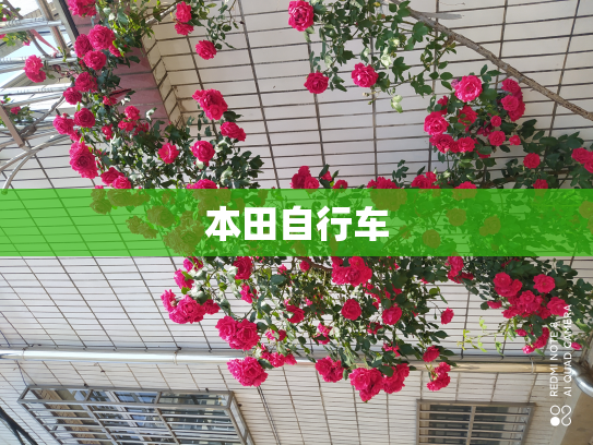 本田自行车