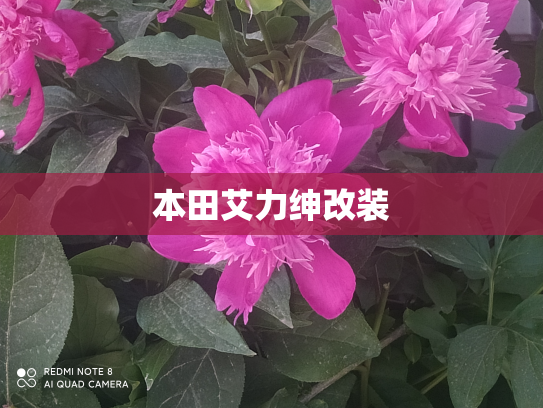 本田艾力绅改装