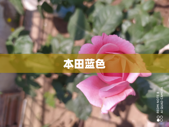 本田蓝色