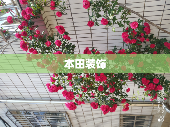 本田装饰
