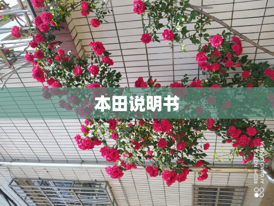 本田说明书