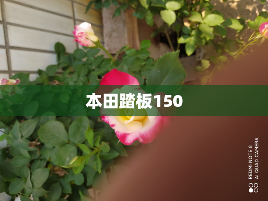 本田踏板150