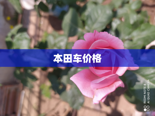 本田车价格