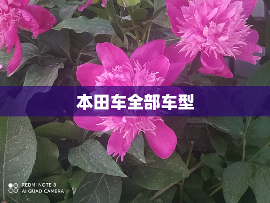 本田车全部车型
