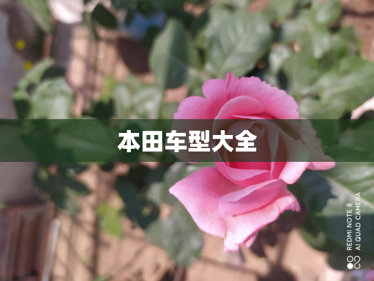 本田车型大全