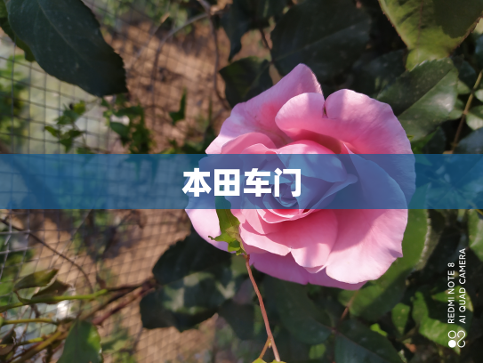 本田车门