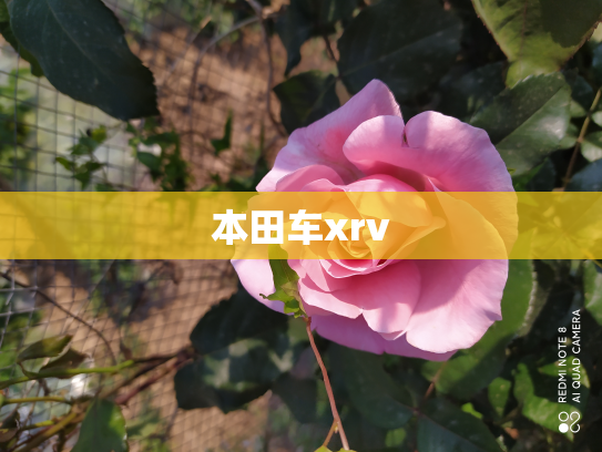 本田车xrv