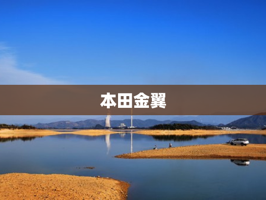 本田金翼