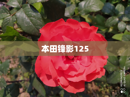 本田锋影125