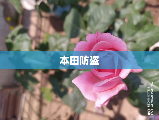 本田防盗