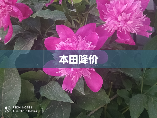本田降价