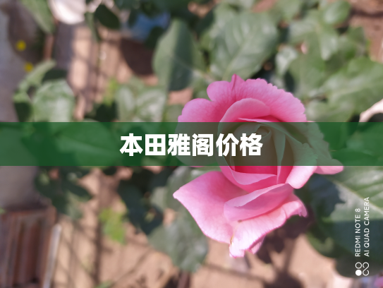 本田雅阁价格