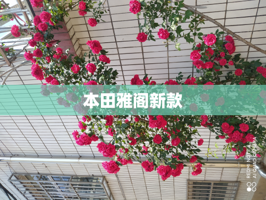 本田雅阁新款