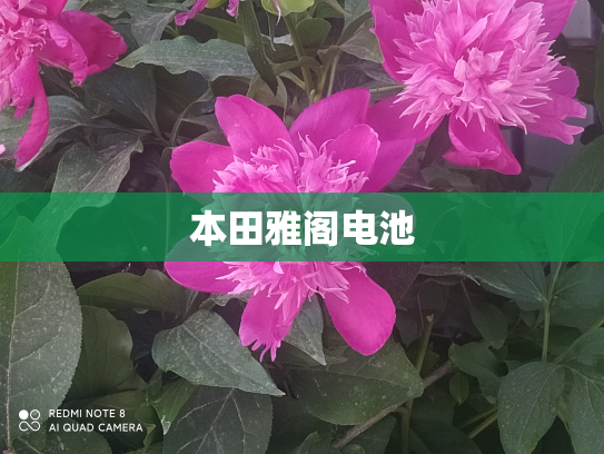 本田雅阁电池
