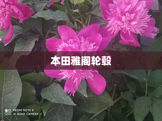 本田雅阁轮毂