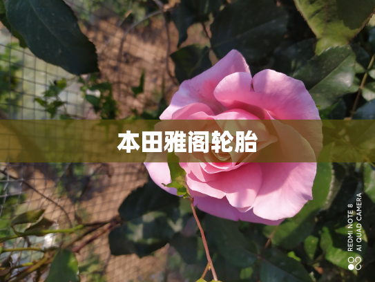 本田雅阁轮胎