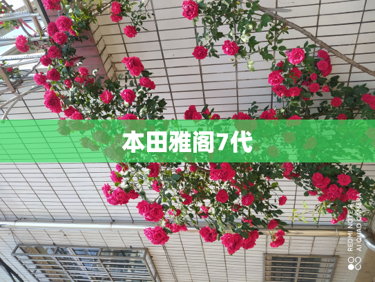 本田雅阁7代