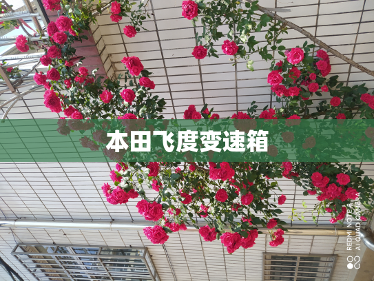 本田飞度变速箱