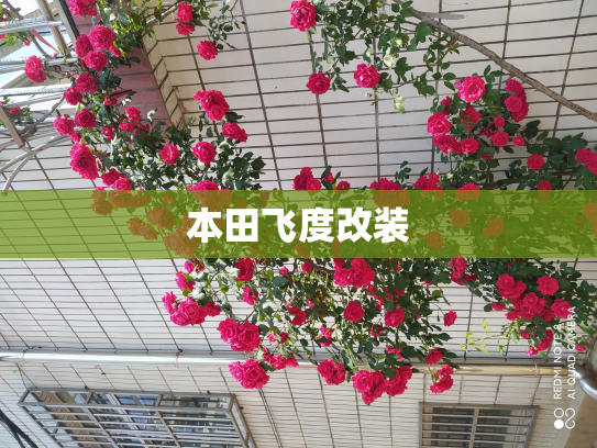本田飞度改装