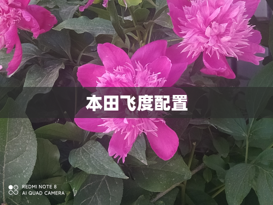 本田飞度配置