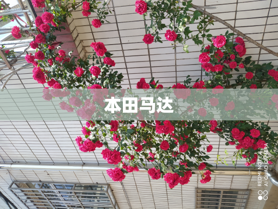 本田马达