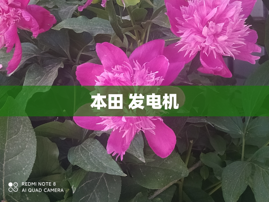 本田 发电机