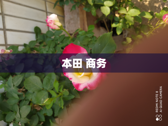 本田 商务