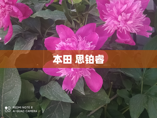 本田 思铂睿