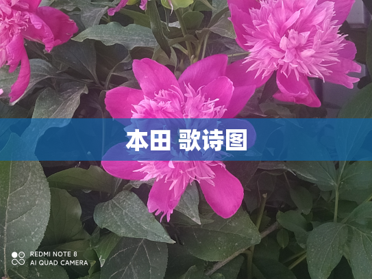 本田 歌诗图