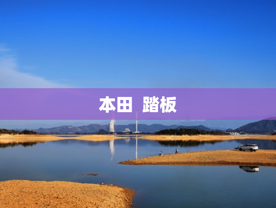 本田  踏板