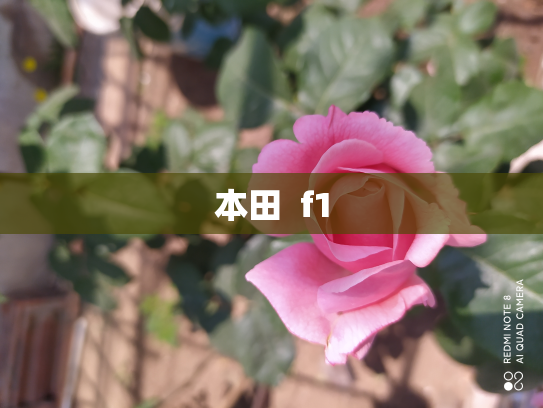 本田  f1