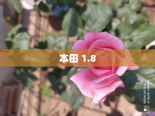 本田 1.8