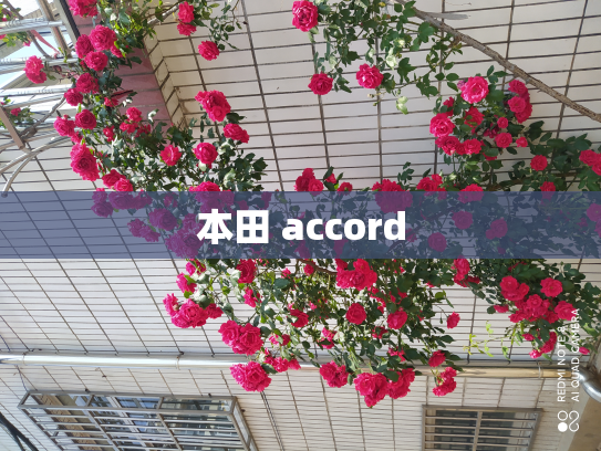 本田 accord