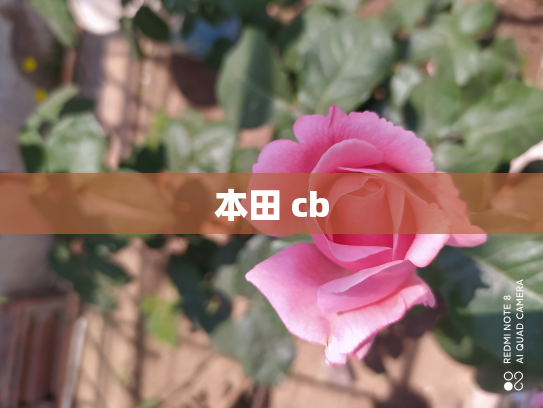 本田 cb