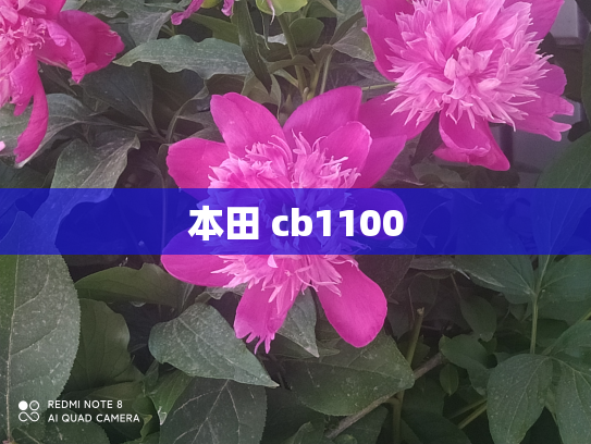 本田 cb1100