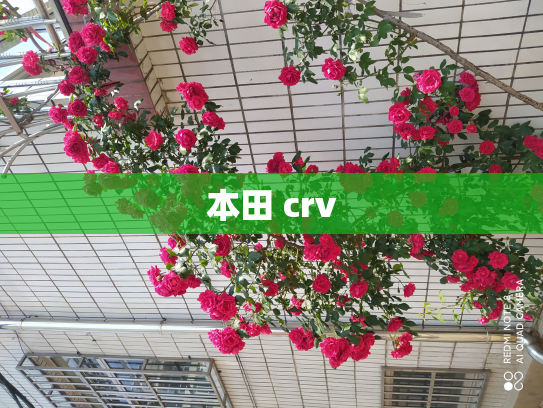 本田 crv