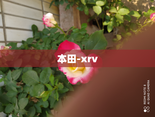 本田-xrv