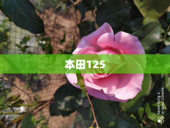本田125