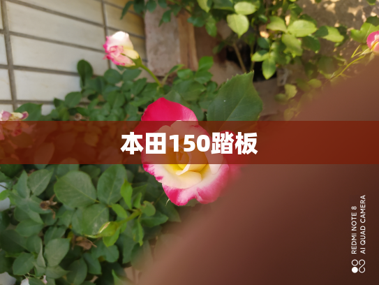 本田150踏板