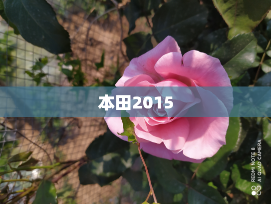 本田2015