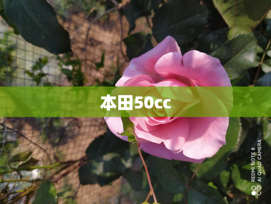 本田50cc