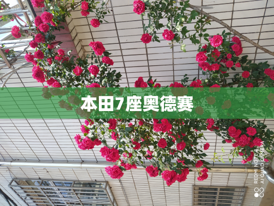 本田7座奥德赛