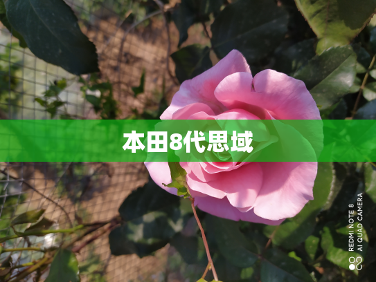 本田8代思域