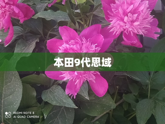 本田9代思域