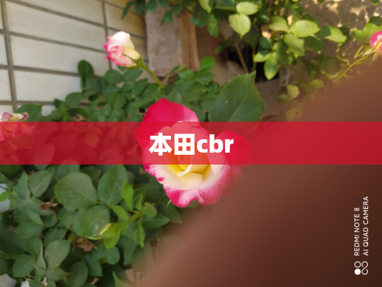 本田cbr