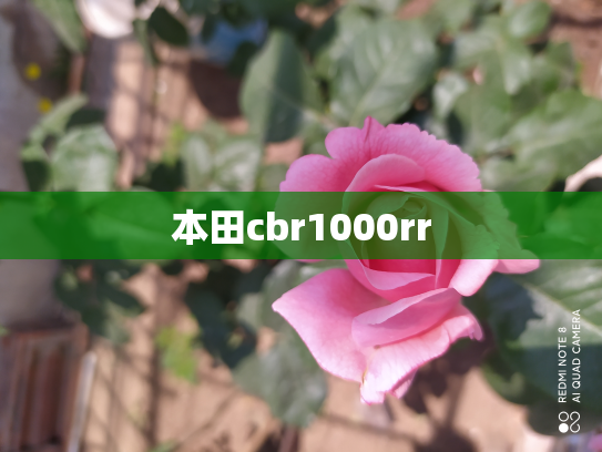 本田cbr1000rr