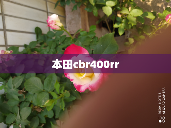 本田cbr400rr