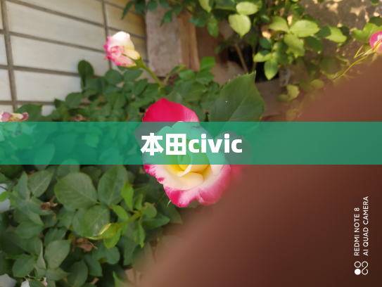本田civic