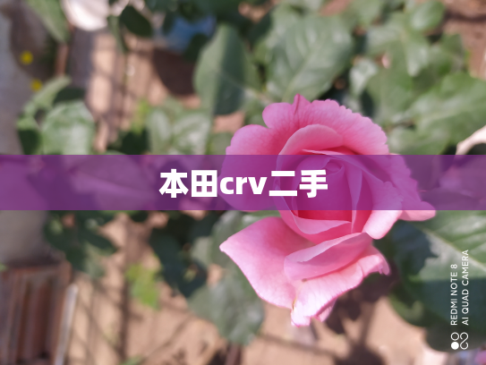 本田crv二手