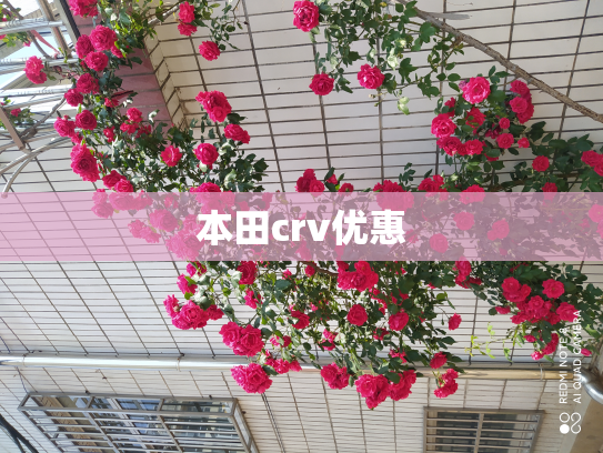 本田crv优惠